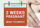 गर्भावस्था का दूसरा सप्ताह : लक्षण, शिशु विकास, युक्तियाँ और शारीरिक परिवर्तन