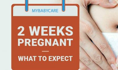 गर्भावस्था का दूसरा सप्ताह : लक्षण, शिशु विकास, युक्तियाँ और शारीरिक परिवर्तन