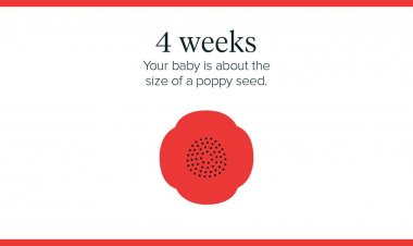 गर्भावस्था का चौथा सप्ताह : लक्षण, शिशु विकास, युक्तियाँ और शारीरिक परिवर्तन