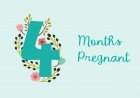 Fourth month of pregnancy - symptoms, development and physical changes of the baby