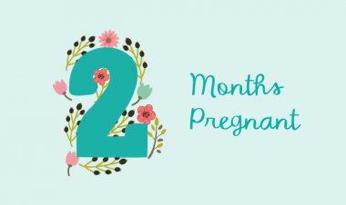 Second month of pregnancy - symptoms, baby development and physical changes