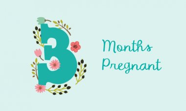 Third month of pregnancy - symptoms, baby development and physical changes