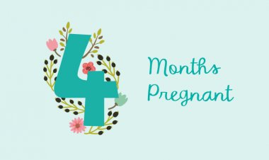 Fourth month of pregnancy - symptoms, development and physical changes of the baby
