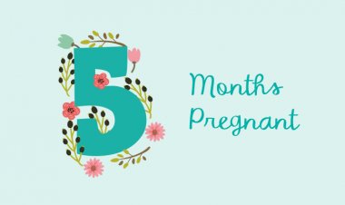 5th Month of pregnancy - symptoms, baby development and physical changes