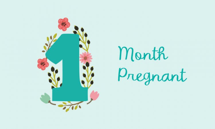 First Month of Pregnancy – Symptoms, Baby Development and Physical Changes