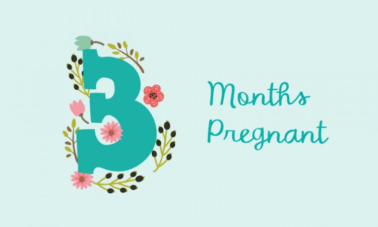 Third month of pregnancy - symptoms, baby development and physical changes