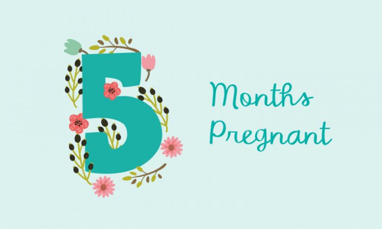 5th Month of pregnancy - symptoms, baby development and physical changes