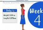 4 weeks pregnant - what to expect?