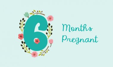 Sixth month of pregnancy - symptoms, development and physical changes of the baby