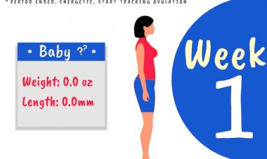 1 week pregnant - what to expect?