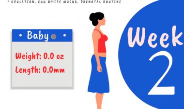 2 weeks pregnant - what to expect?