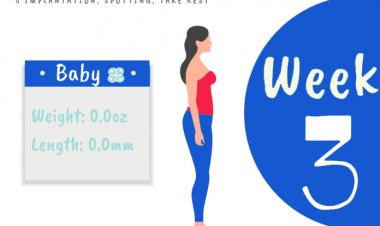 3 weeks pregnant - what to expect?