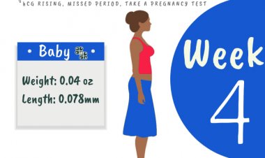 4 weeks pregnant - what to expect?