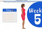 5 weeks pregnant - what to expect?