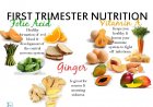 Foods to be taken during pregnancy in first trimester