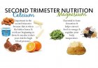 Foods to be taken during pregnancy in second trimester