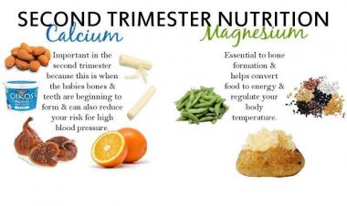 Foods to be taken during pregnancy in second trimester