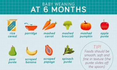 6 month old baby food tips
