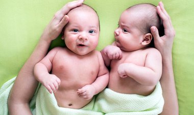 How to have twins?