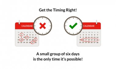 When to have sex to conceive, know in detail