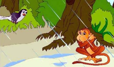 The story of the weaver bird and the monkey