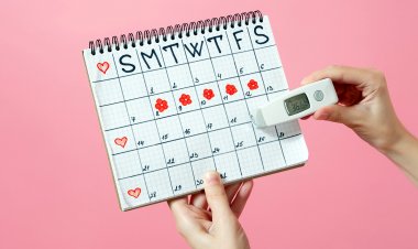 How many days after menstruation does pregnancy take place?
