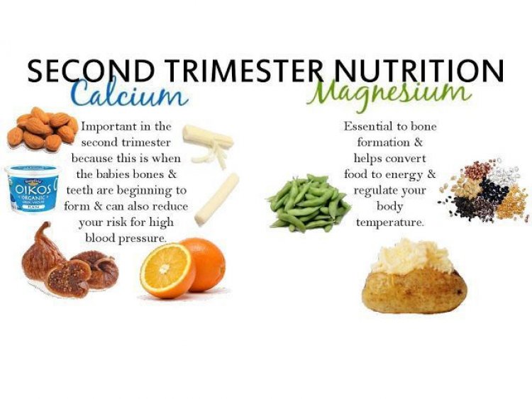 Foods to be taken during pregnancy in second trimester