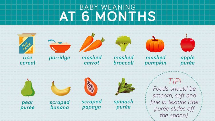 6 month old baby food tips