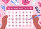 What is Ovulation Period: Before becoming a mother, know how important the Ovulation Period is! Correct information will lead to a healthy pregnancy and will be safe