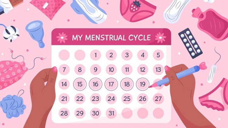 What is Ovulation Period: Before becoming a mother, know how important the Ovulation Period is! Correct information will lead to a healthy pregnancy and will be safe