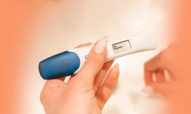 गर्भवती होने का सबसे अच्छा समय: ओव्यूलेशन और इसे प्रभावित करने वाले कारक